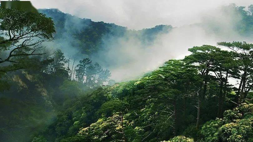 奈曼旗减免交易保证金