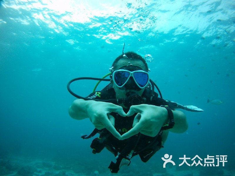 懒羊羊的奇幻世界