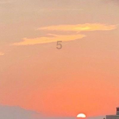 孤独的流浪者救援